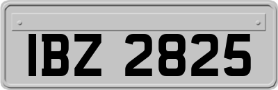 IBZ2825