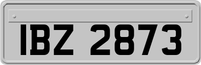 IBZ2873