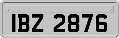 IBZ2876