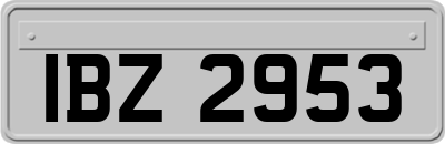 IBZ2953