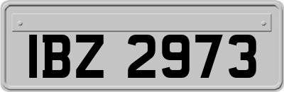 IBZ2973