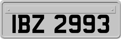 IBZ2993
