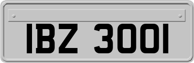 IBZ3001