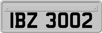 IBZ3002