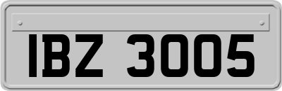 IBZ3005