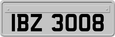 IBZ3008