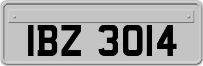 IBZ3014