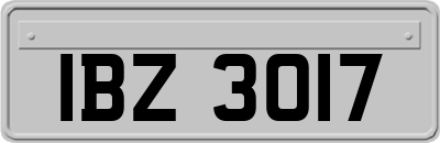 IBZ3017