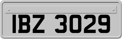 IBZ3029