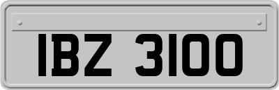 IBZ3100