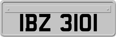 IBZ3101
