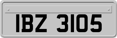 IBZ3105