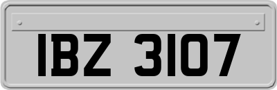 IBZ3107