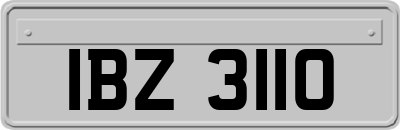 IBZ3110
