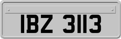 IBZ3113