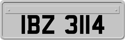 IBZ3114