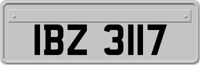 IBZ3117