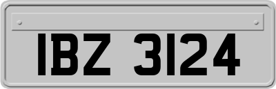 IBZ3124