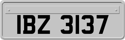 IBZ3137