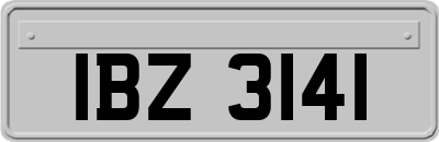 IBZ3141