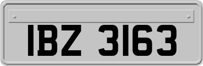 IBZ3163