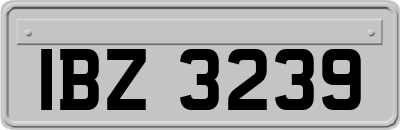 IBZ3239