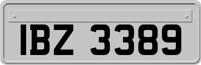 IBZ3389