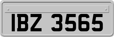 IBZ3565