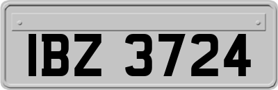 IBZ3724