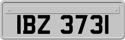 IBZ3731