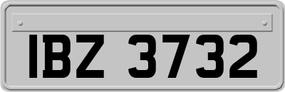 IBZ3732