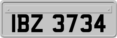 IBZ3734