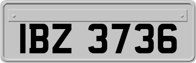 IBZ3736