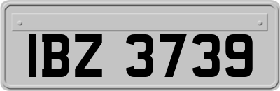 IBZ3739