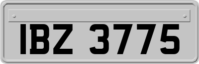 IBZ3775