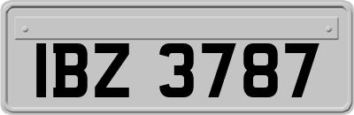 IBZ3787