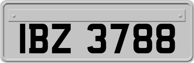 IBZ3788