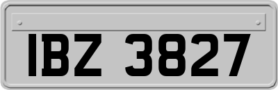 IBZ3827