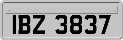 IBZ3837