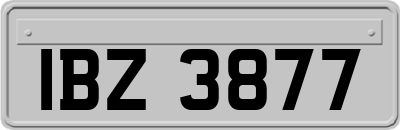 IBZ3877