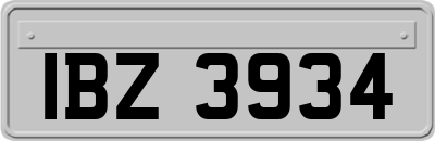IBZ3934