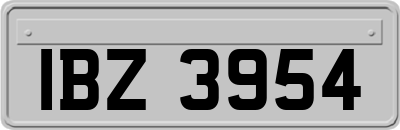 IBZ3954