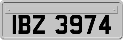 IBZ3974