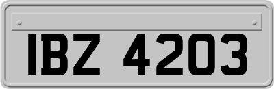 IBZ4203