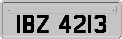 IBZ4213