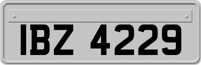 IBZ4229