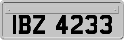 IBZ4233