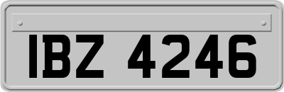 IBZ4246