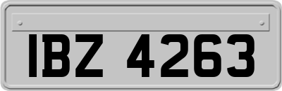 IBZ4263