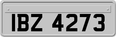IBZ4273